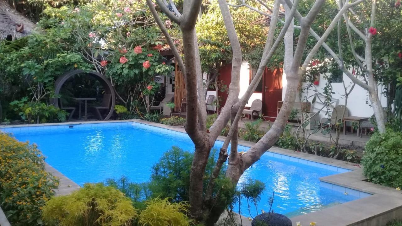 Ijo Yogyakarta